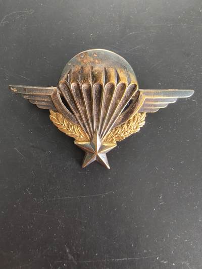 老王徽章第166期 - 法国空降兵证章