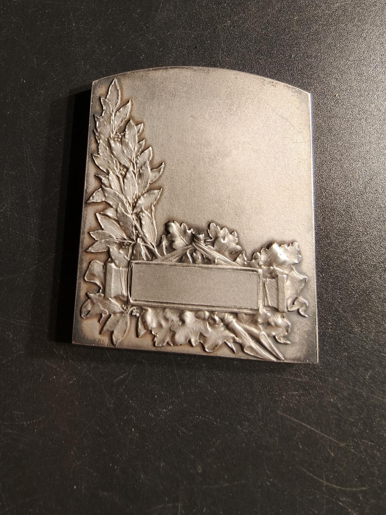 老王徽章第166期 法国全国游泳与救生协会镀银大铜章    原盒      尺寸40×50mm.   重量45g