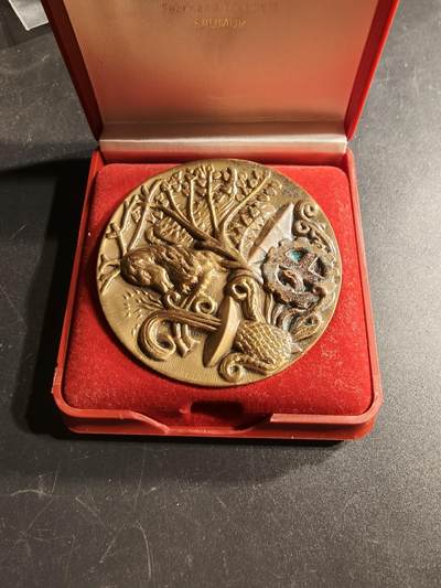 老王徽章第166期 - 法国阿列省议会大铜章     原盒有损    高浮雕     直径64mm.    重量127.7g