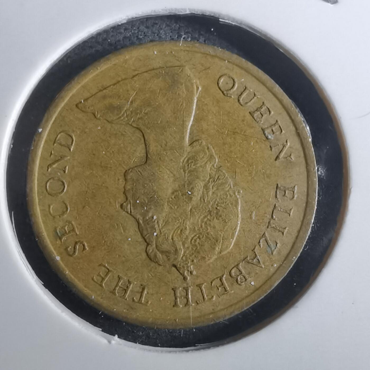 沼泽如烟--第916场 香港1982年一毫