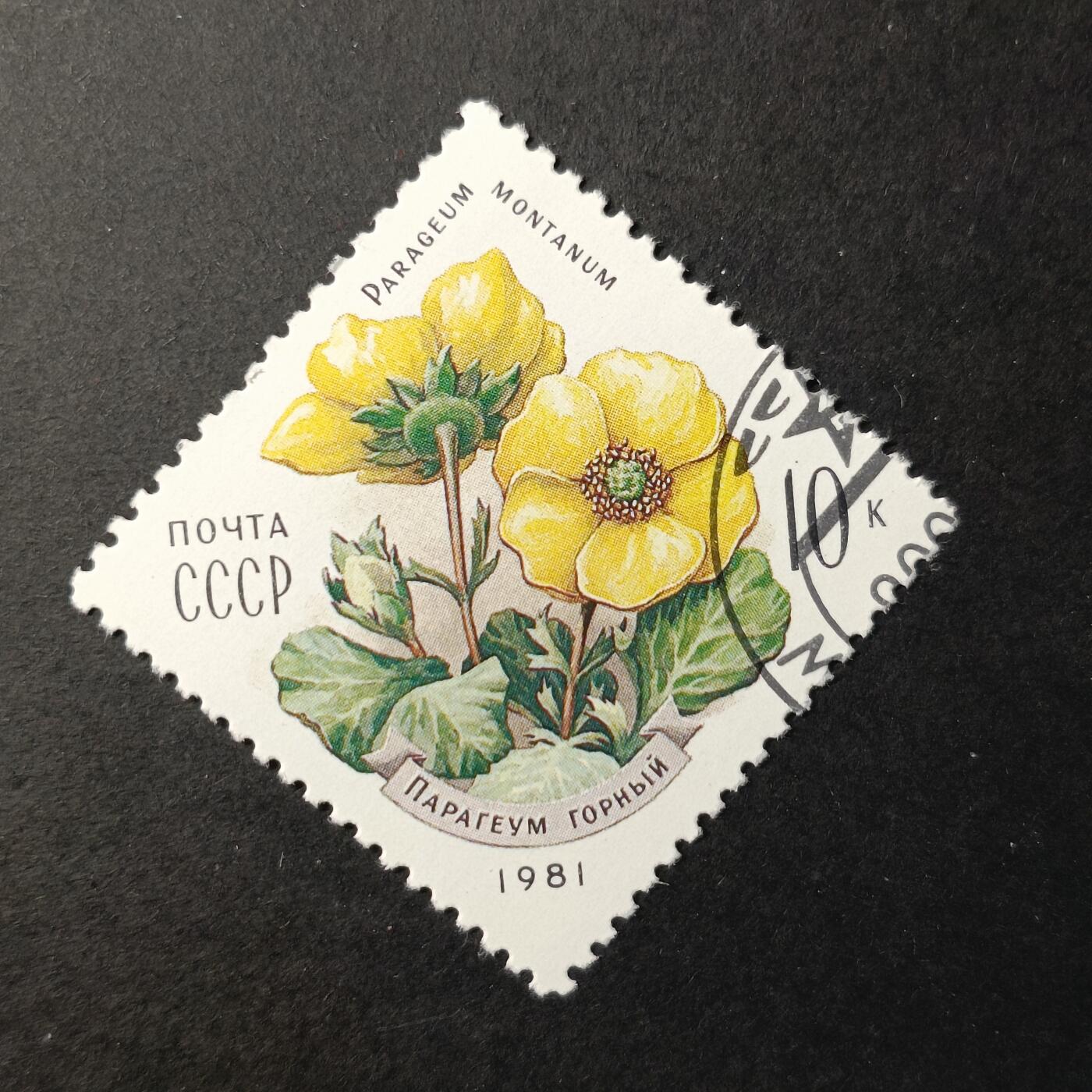 嘉禾收藏    【第390期】            无佣金、可寄存、满30元包邮 苏联邮票