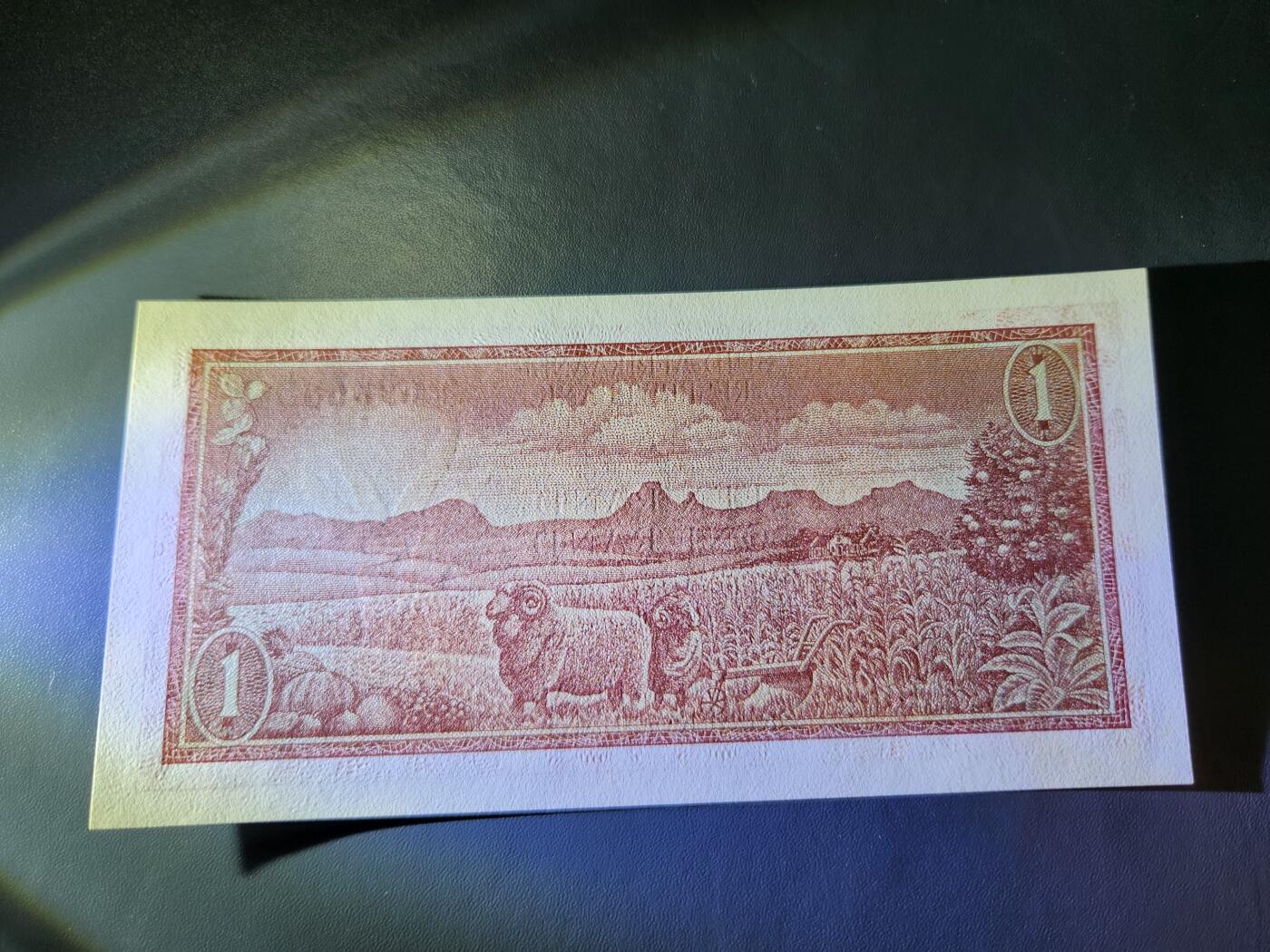 11月30号晚上8点 外国纸币自动截拍第66场