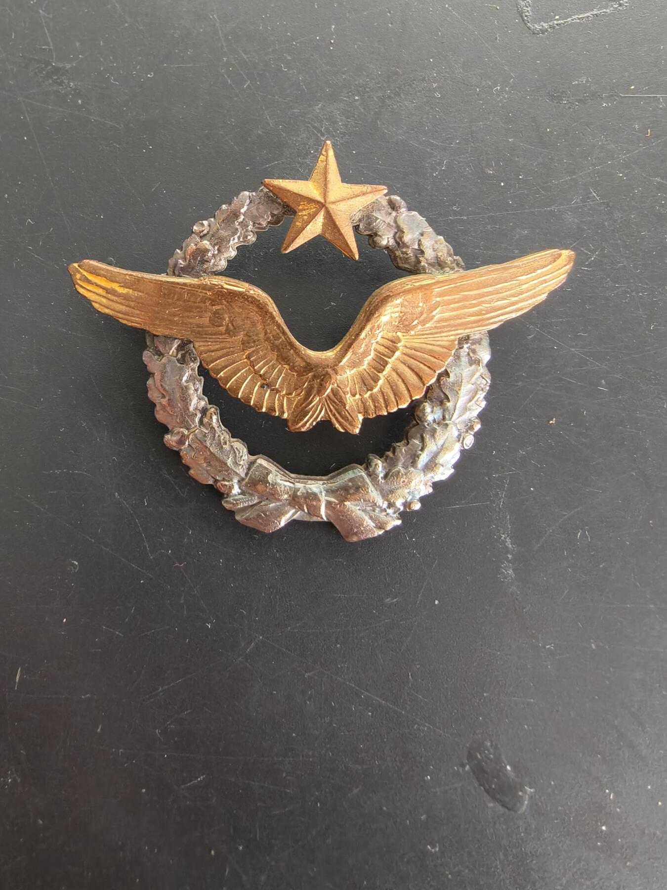 老王徽章第166期 法国空军地勤人员证章