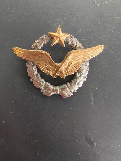 老王徽章第166期 - 法国空军地勤人员证章