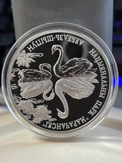第183期拍卖 - 获奖白俄罗斯2003年疣鼻白天鹅纪念银币，本币荣获2005年克劳斯世界硬币大赛“最佳克朗币”大奖，925银，有氧化