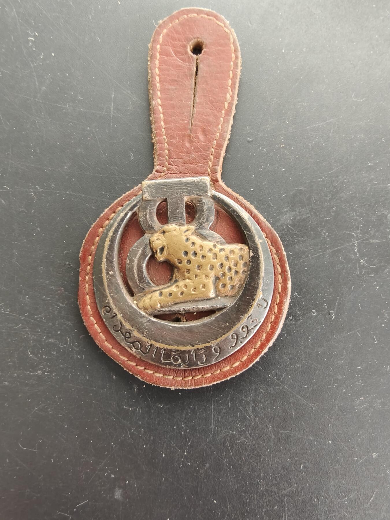 老王徽章第166期 法国陆军非洲军团第8步兵团证章（又称“突尼斯猎豹团）