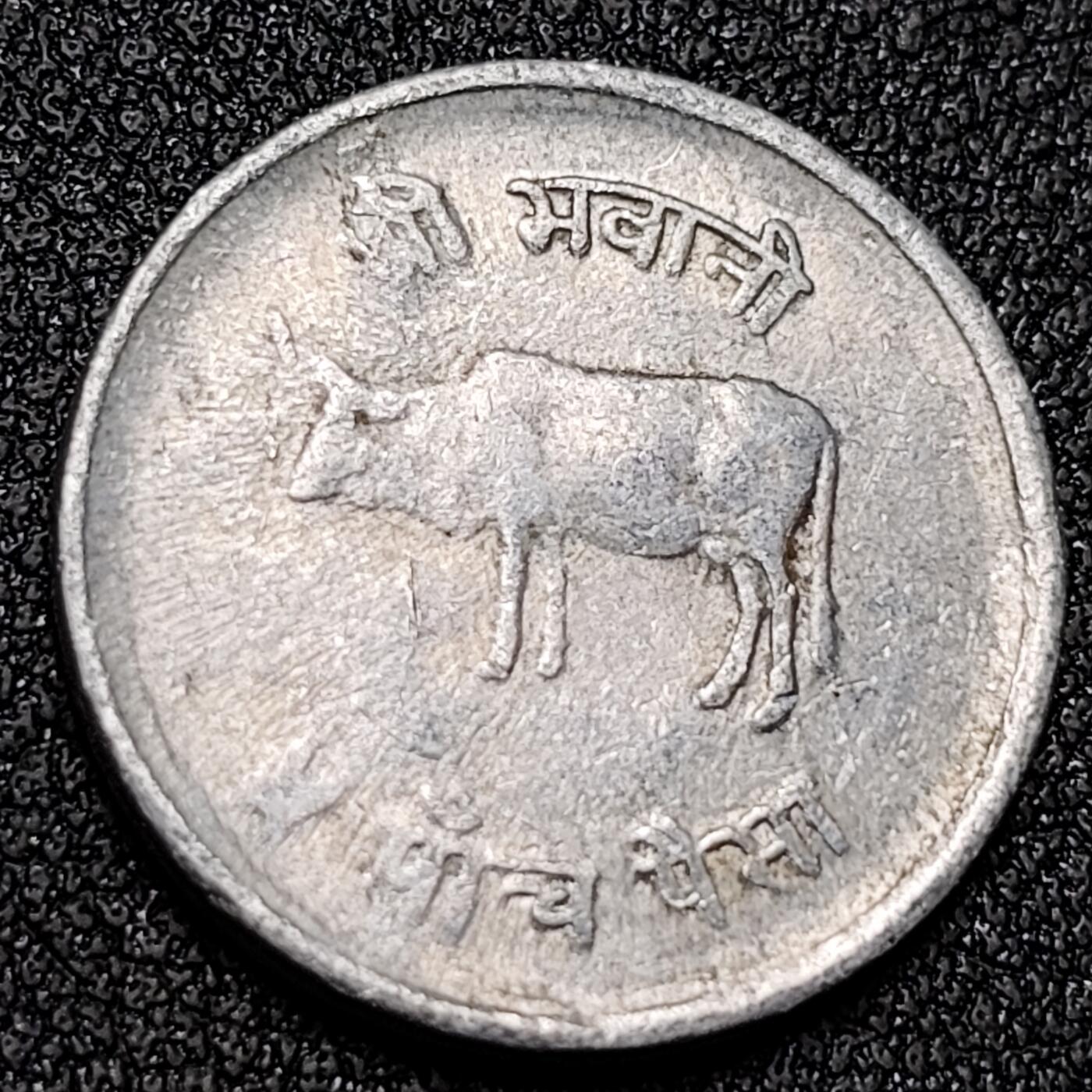 泉币菌-第141场-精品福利场（之前场次29日、30日发货，敬请谅解） 。