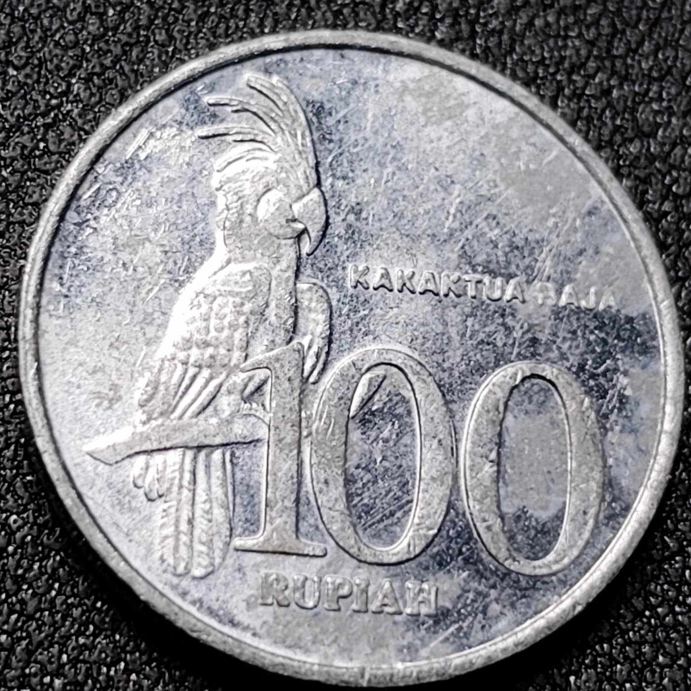 泉币菌-第141场-精品福利场（之前场次29日、30日发货，敬请谅解） 。