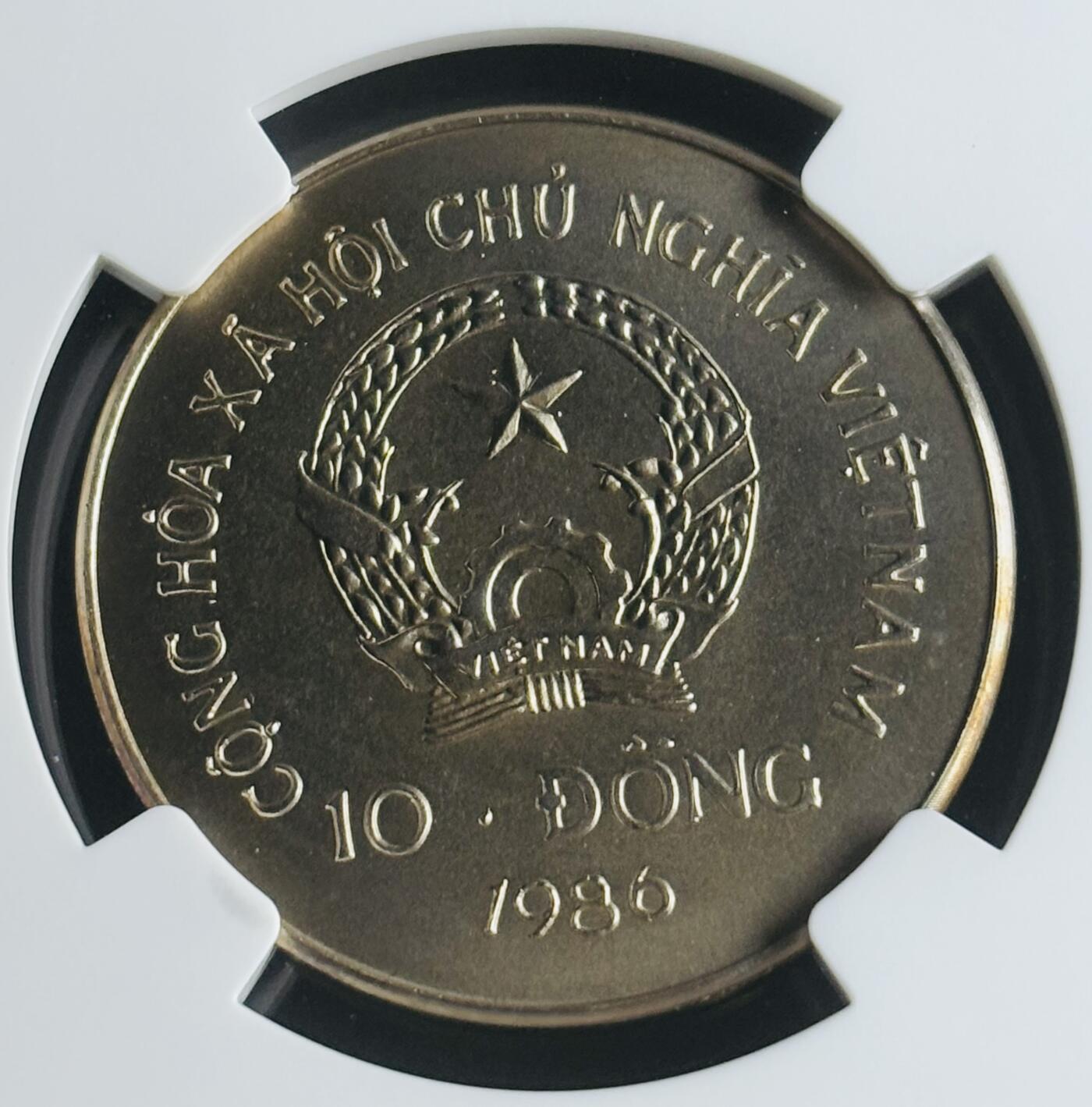 文馨钱币收藏第 283 场，【大雪鉴珍，寒英缀金】金银纪念币精品场，诚邀您的参与【长期接代拍品】 稀少 1986 年越南孔雀 10 盾纪念币，NGC 评级 MS67 分