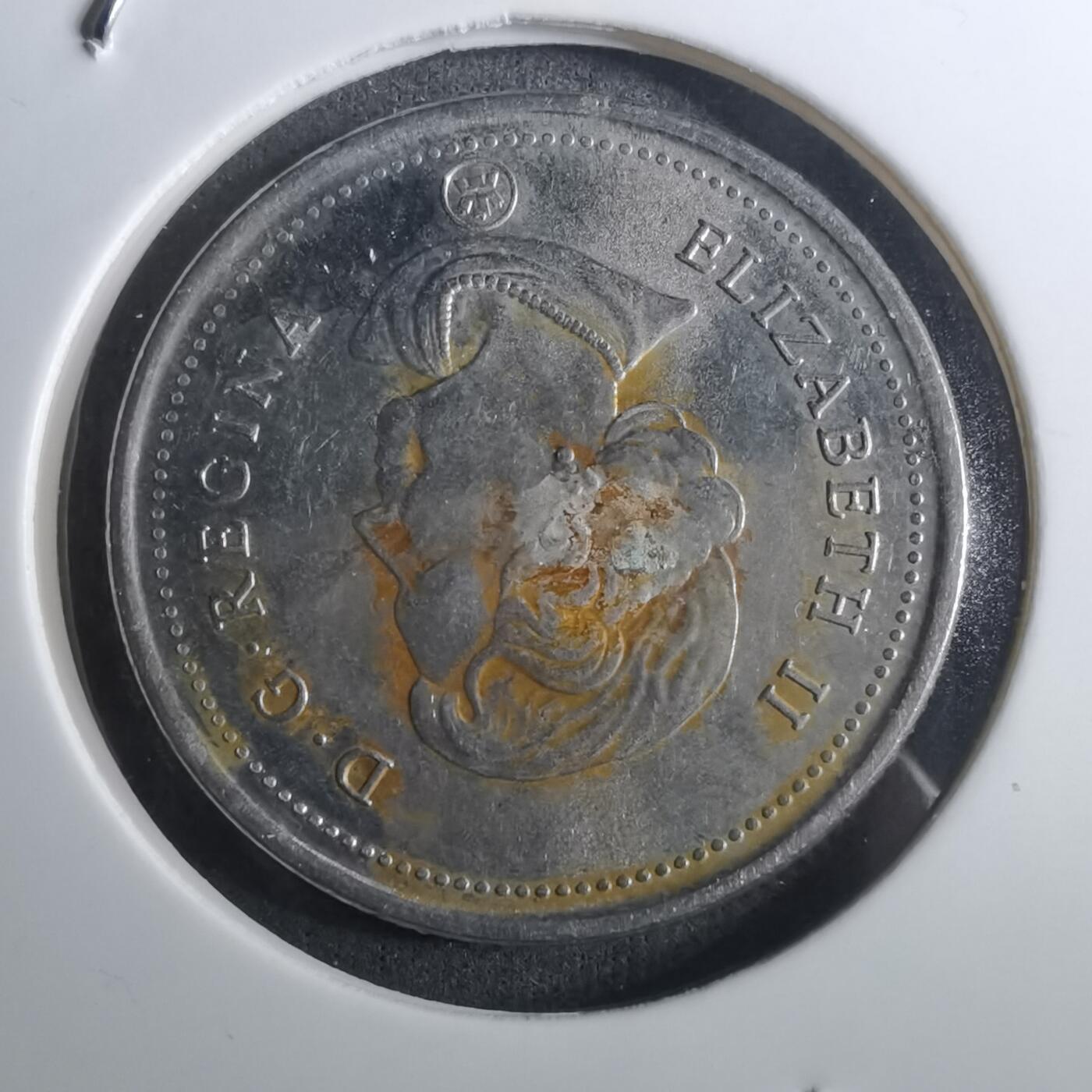 沼泽如烟--第916场