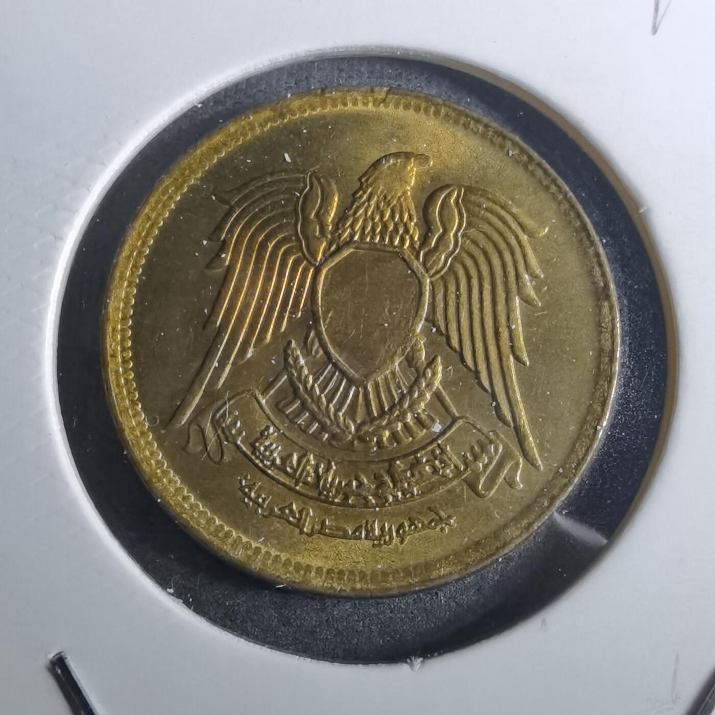 沼泽如烟--第916场 埃及