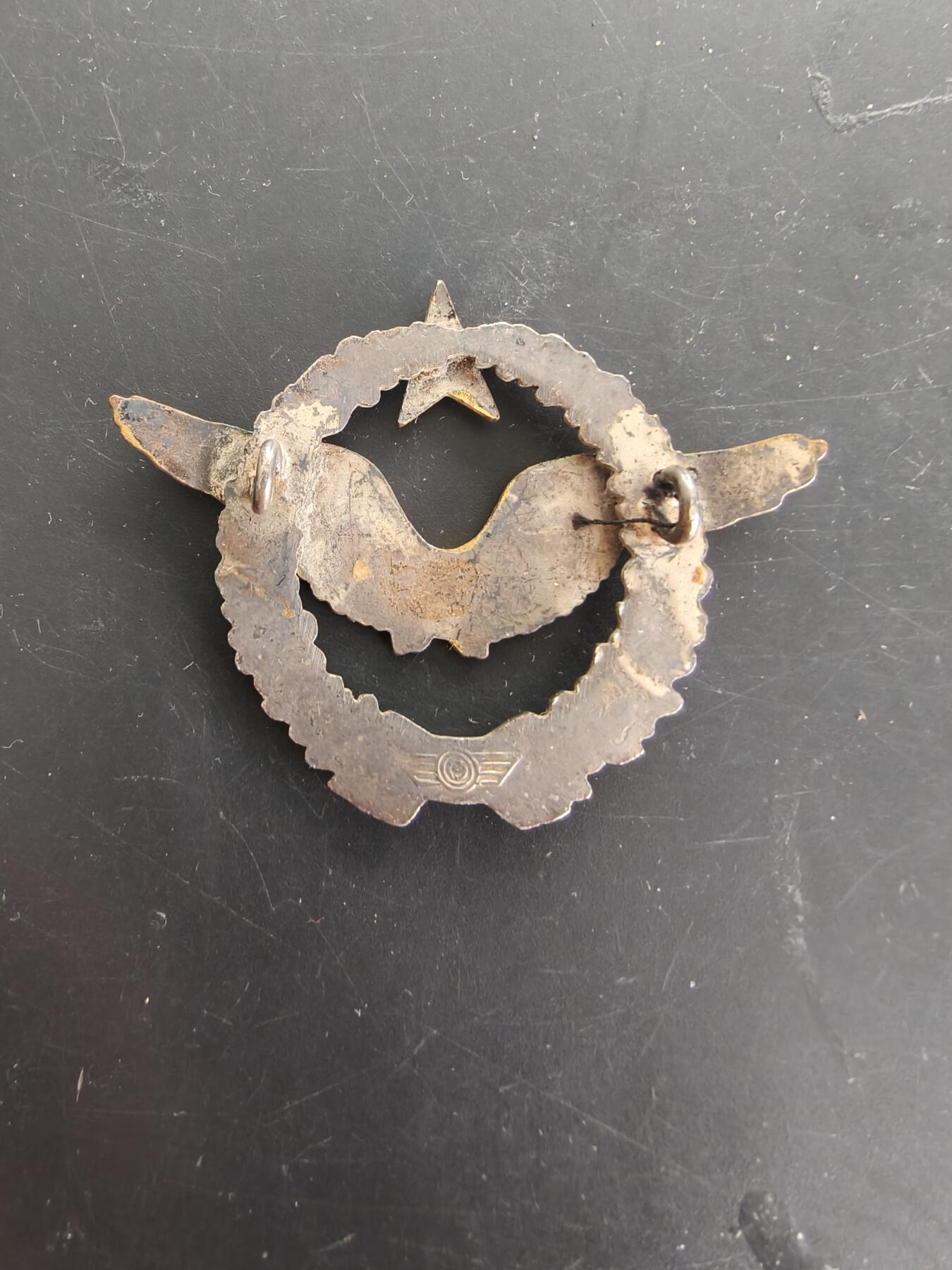 老王徽章第166期 法国空军地勤人员证章