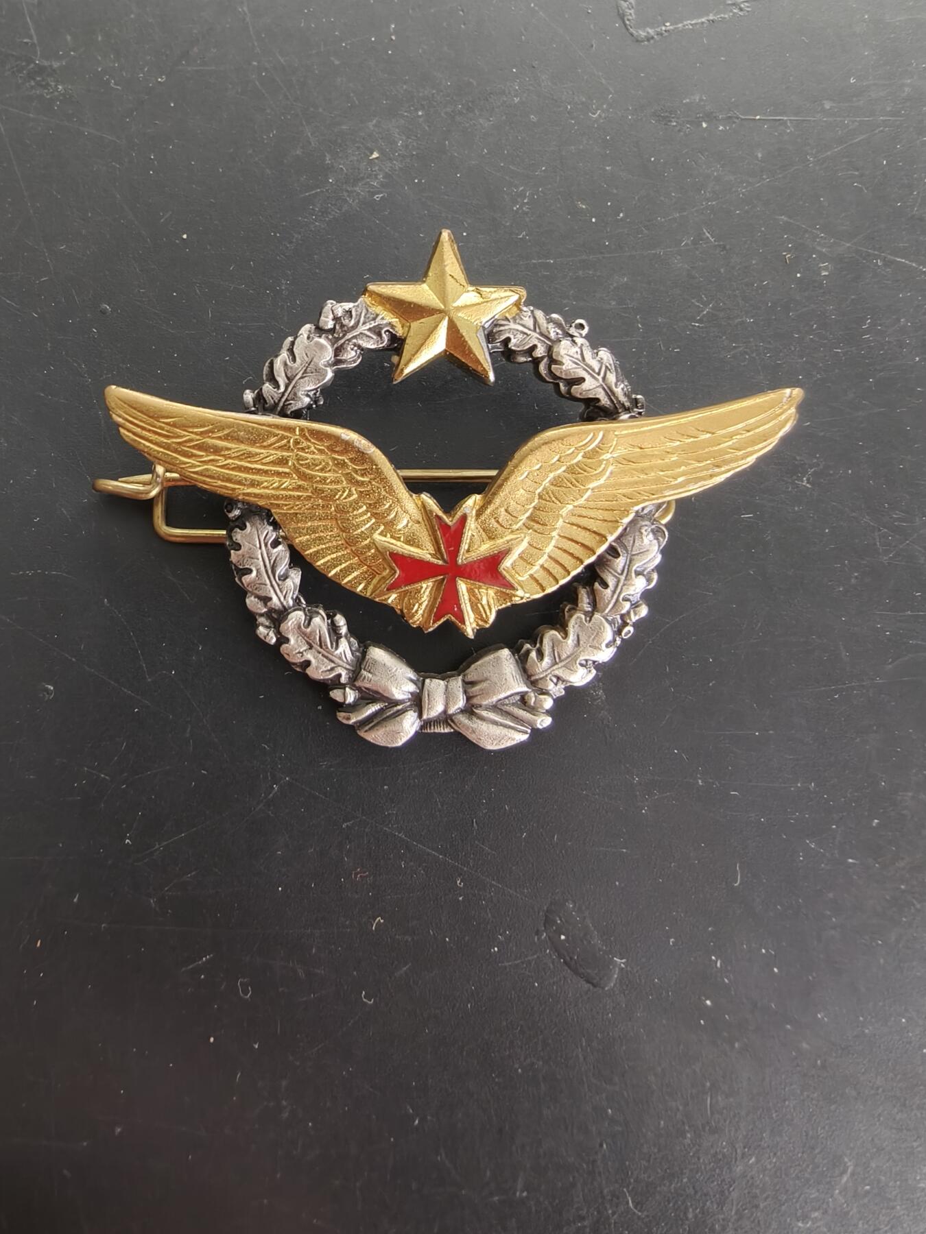 老王徽章第166期 法国空军运输机飞行员证章