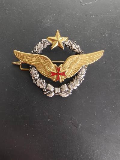 老王徽章第166期 - 法国空军运输机飞行员证章