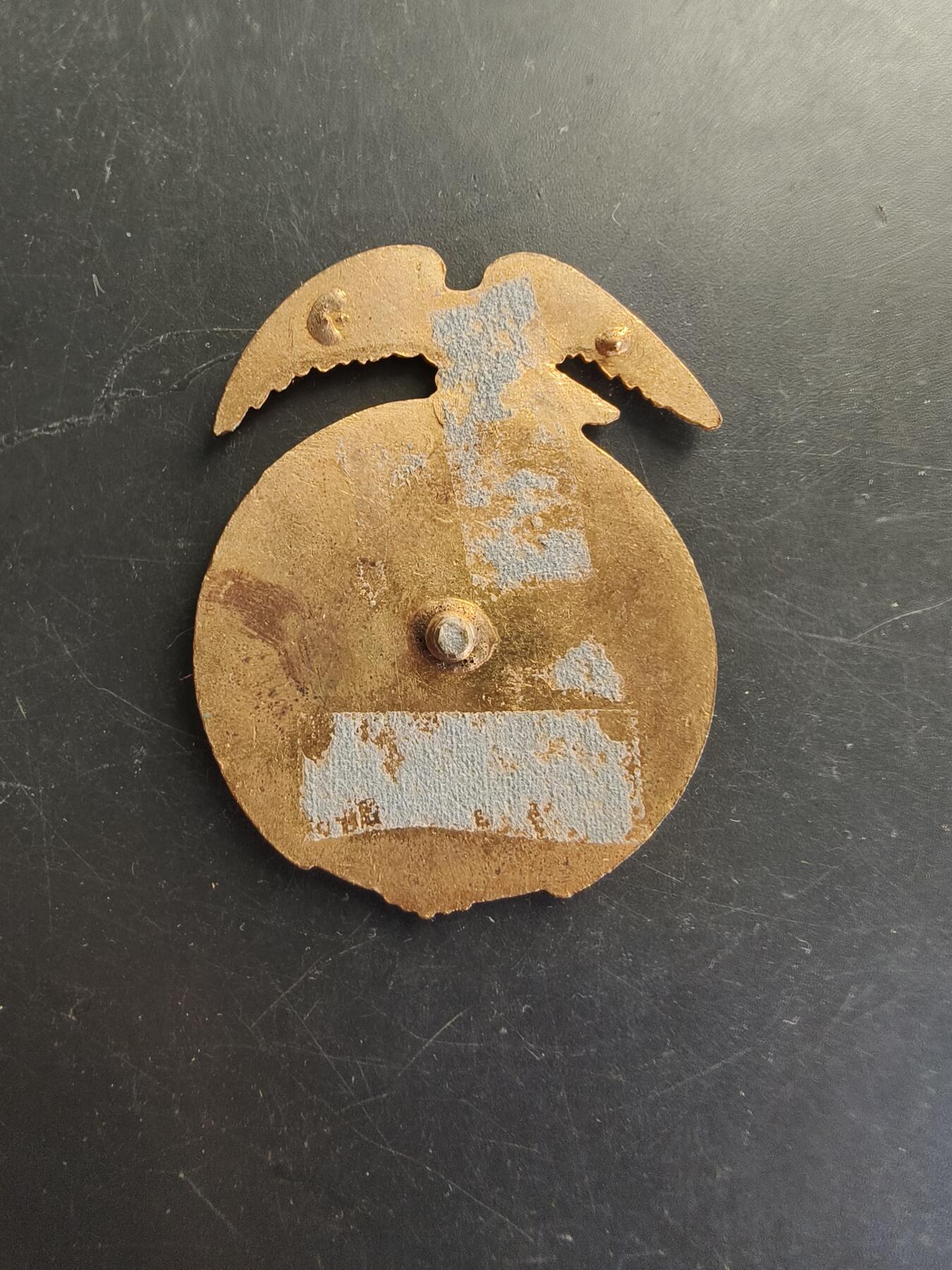 老王徽章第166期 美国卡塞尔高地军事学院大檐帽帽徽    背杆损坏