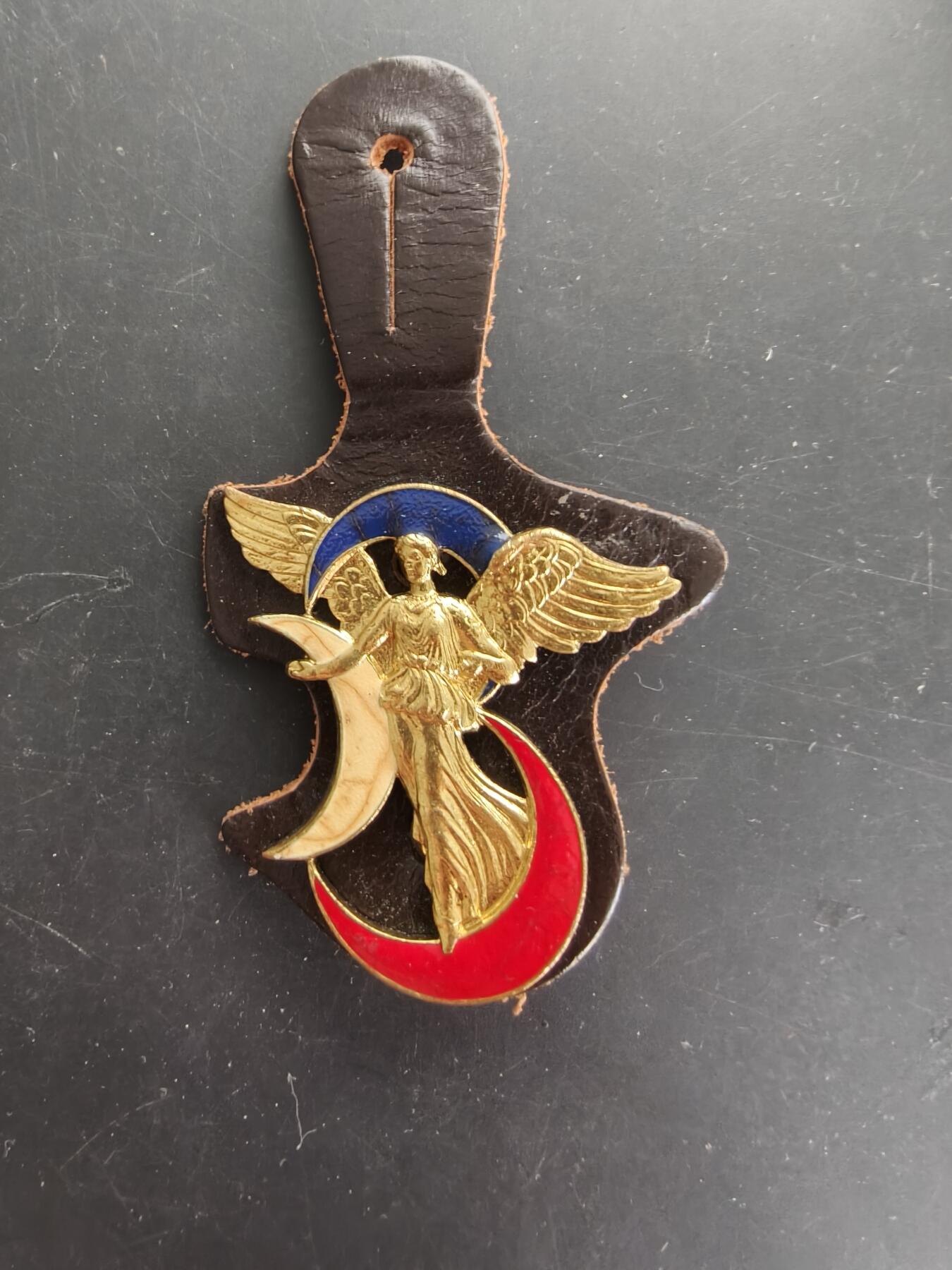 老王徽章第166期 法国阿尔及利亚第3步兵师证章