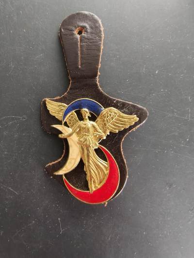 老王徽章第166期 - 法国阿尔及利亚第3步兵师证章