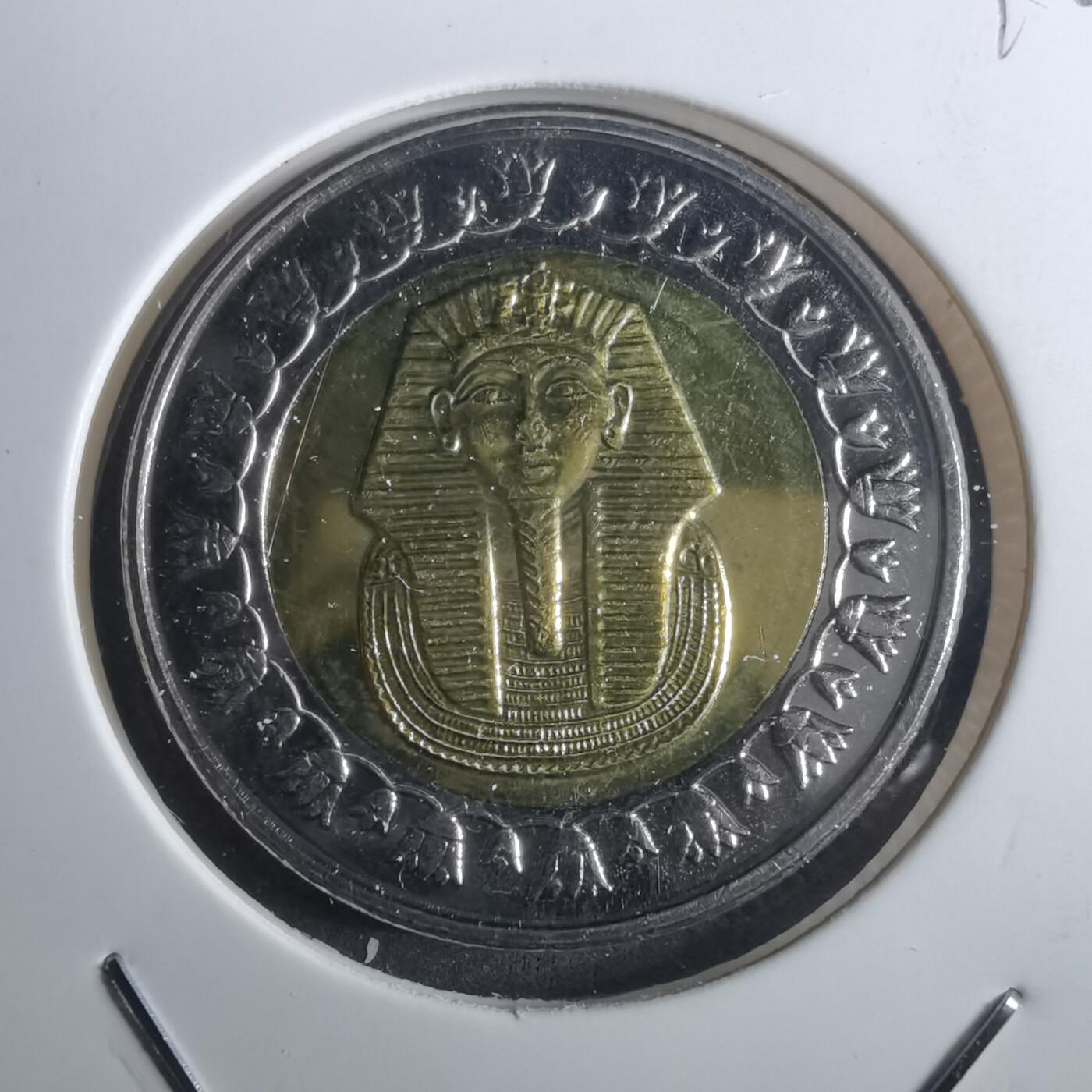 沼泽如烟--第916场 埃及