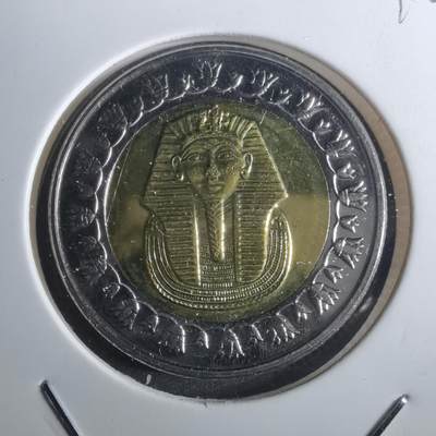 沼泽如烟--第916场 - 埃及