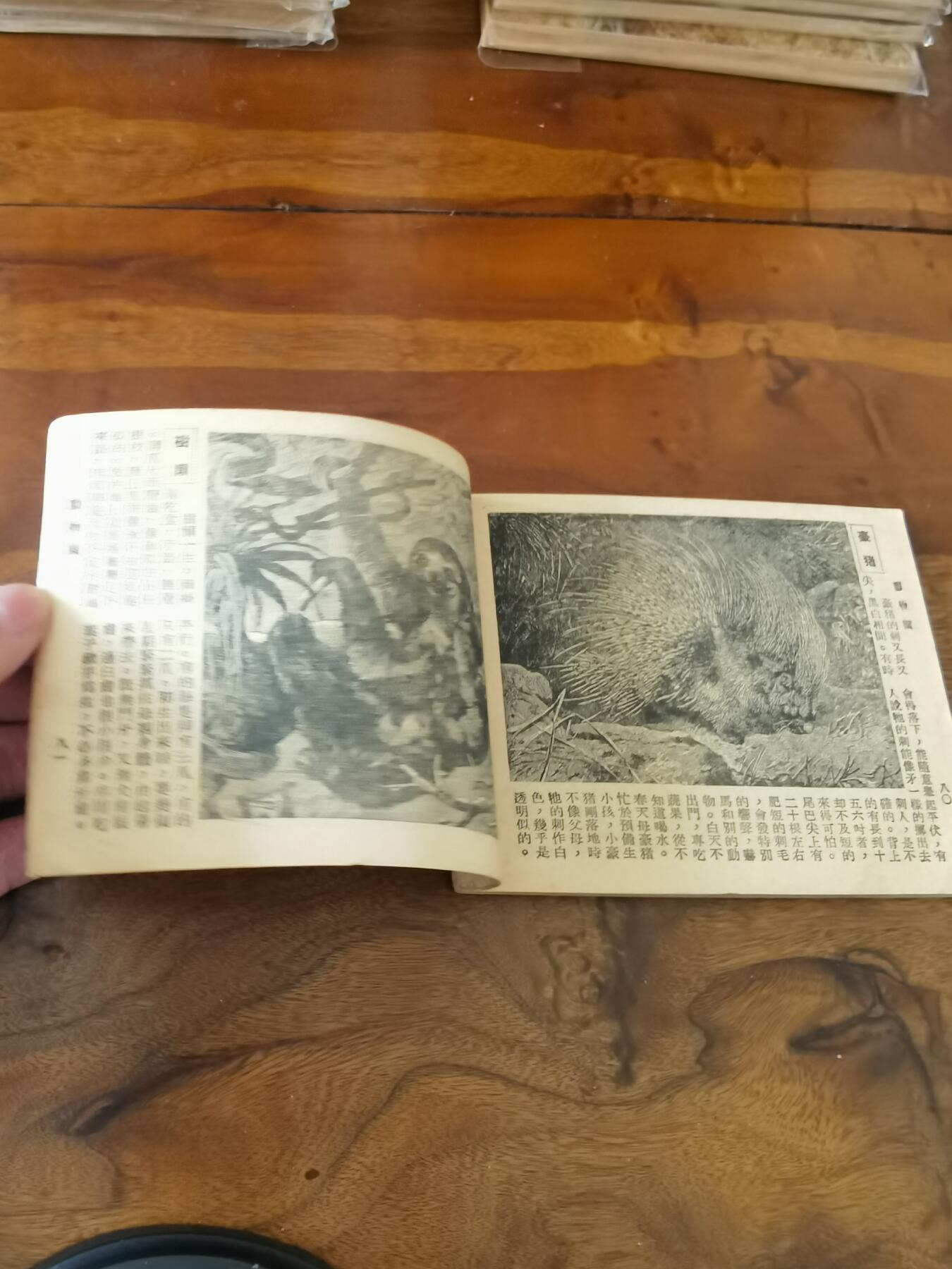 2026年2月22日连环画拍卖会 动物园知识连环图画1951年60开