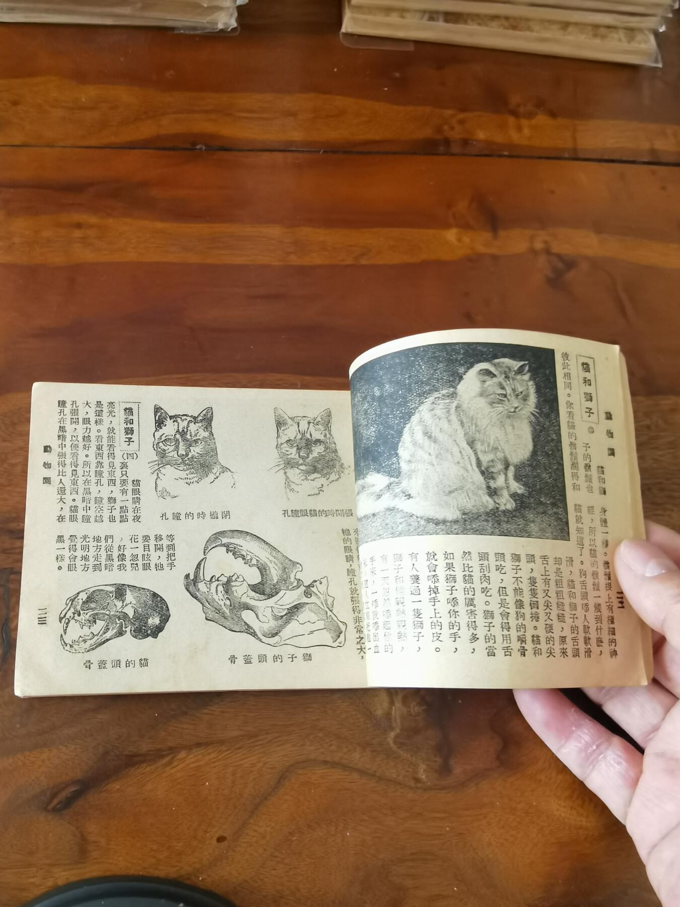 2026年2月22日连环画拍卖会 动物园知识连环图画1951年60开