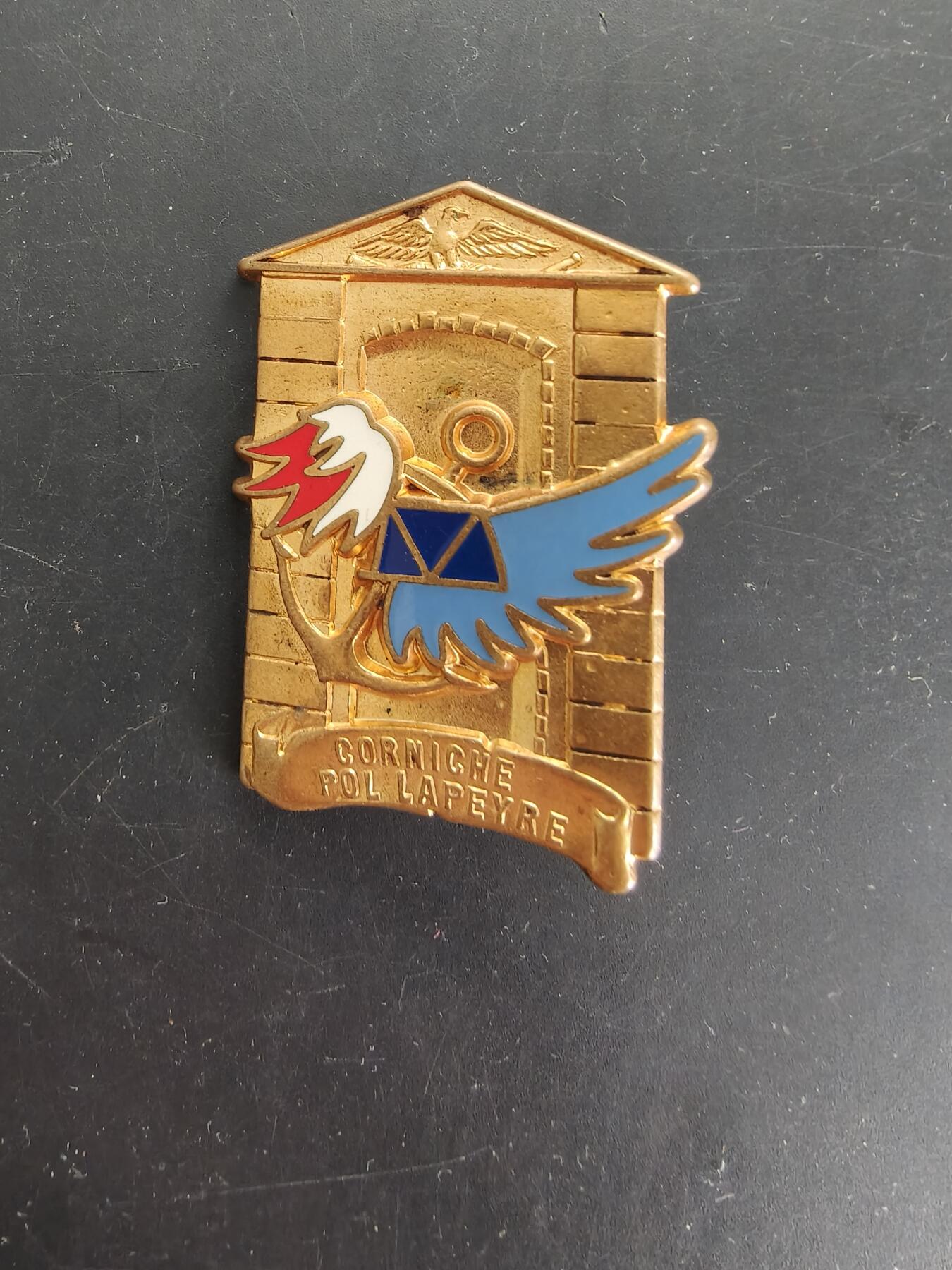 老王徽章第166期 法国圣西尔军校学员训练中心证章