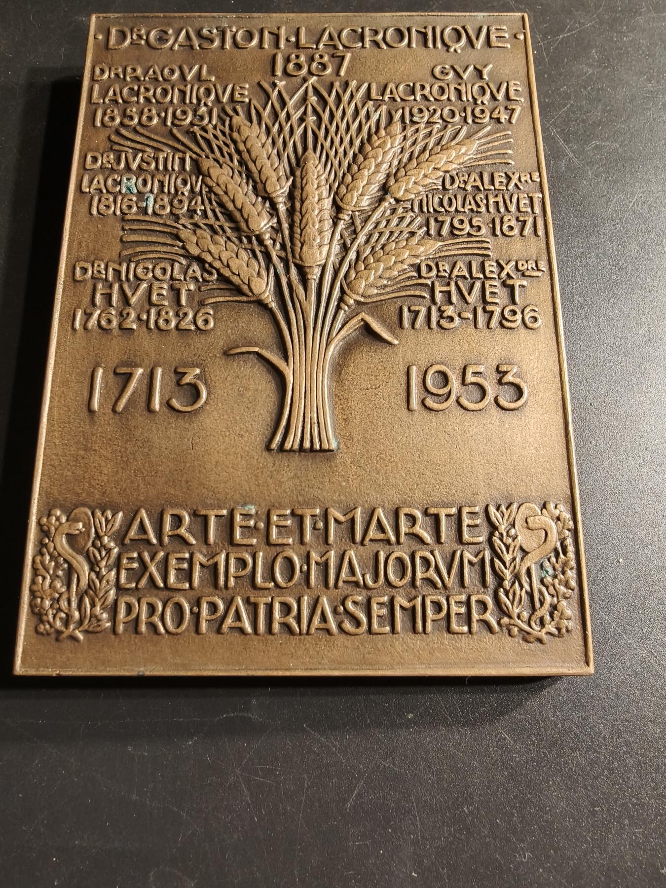 老王徽章第166期 法国口腔医学家加斯顿·拉克罗尼克方形大铜章    少见超大尺寸15×10cm.   重量1020g.    大师维农作品