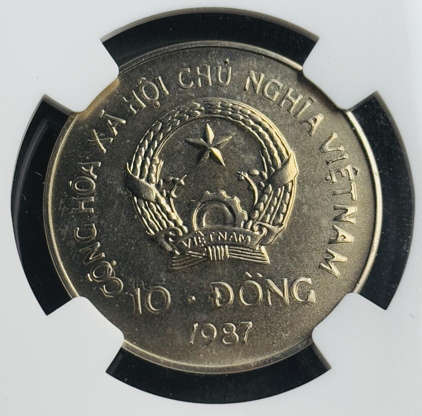 文馨钱币收藏第 283 场，【大雪鉴珍，寒英缀金】金银纪念币精品场，诚邀您的参与【长期接代拍品】 稀少 1987年越南红毛猩猩10盾纪念 世界自然基金会成立 25 周年 NGC 评级 MS65 分