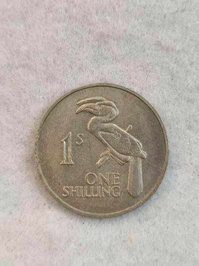 G&W世界散币，银币处理专场（第38场） - 赞比亚1964年1先令