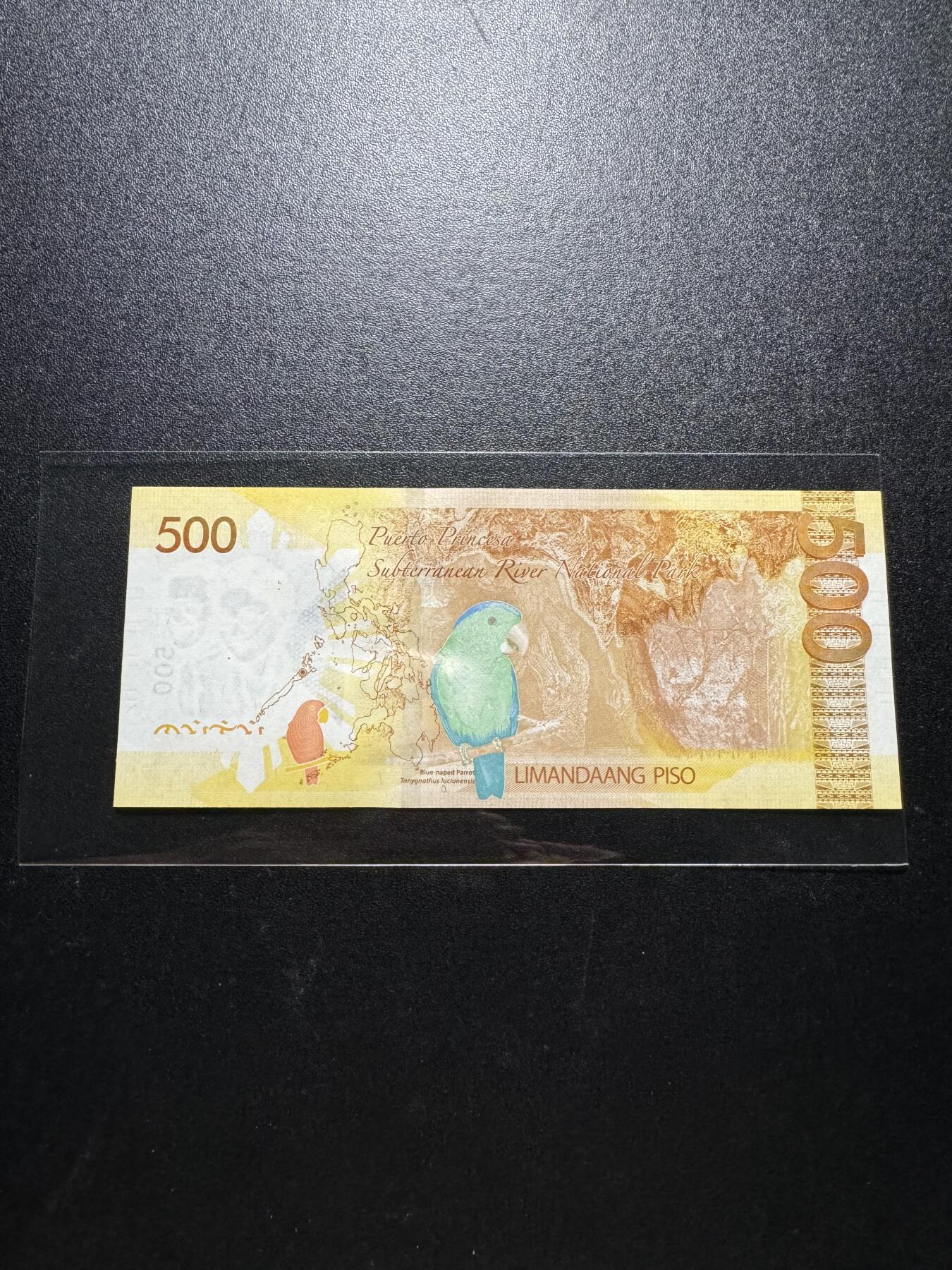 外币出坑 菲律宾500【CD582088】