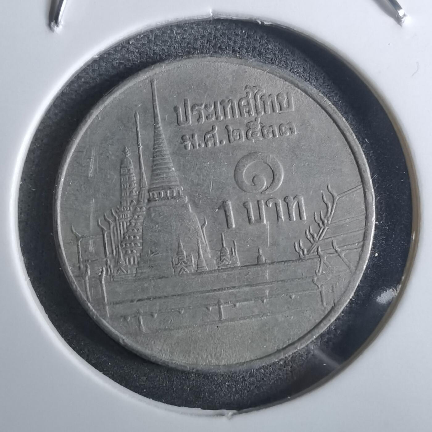 沼泽如烟--第916场