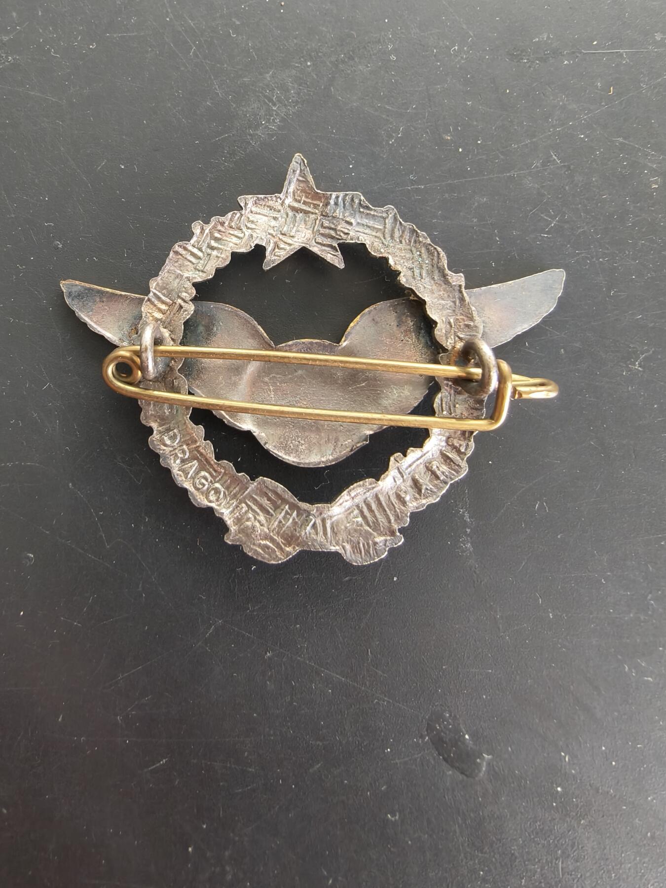 老王徽章第166期 法国空军领航员证章