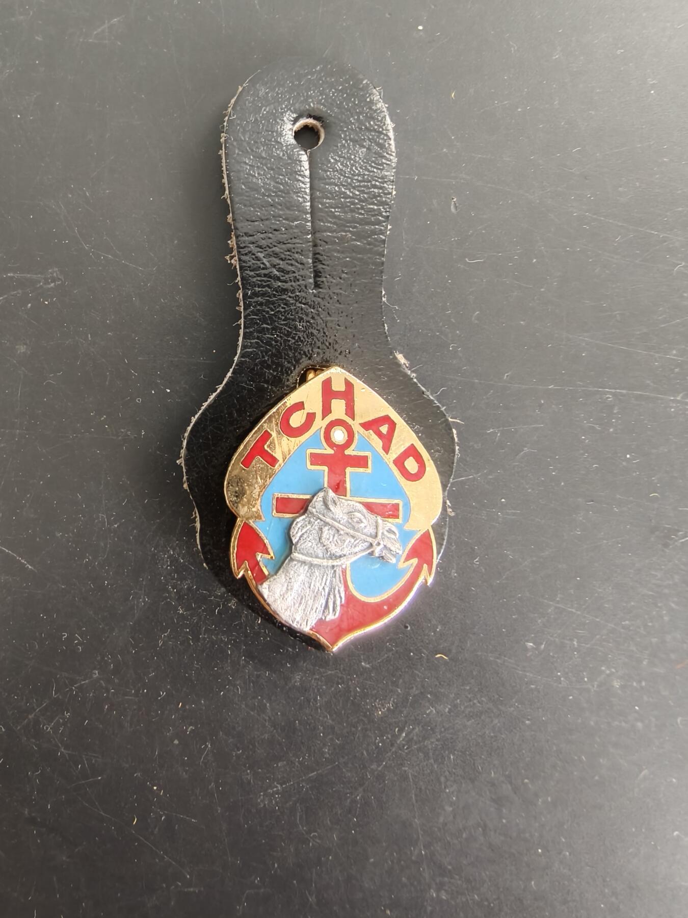 老王徽章第166期 法国乍得行军团证章