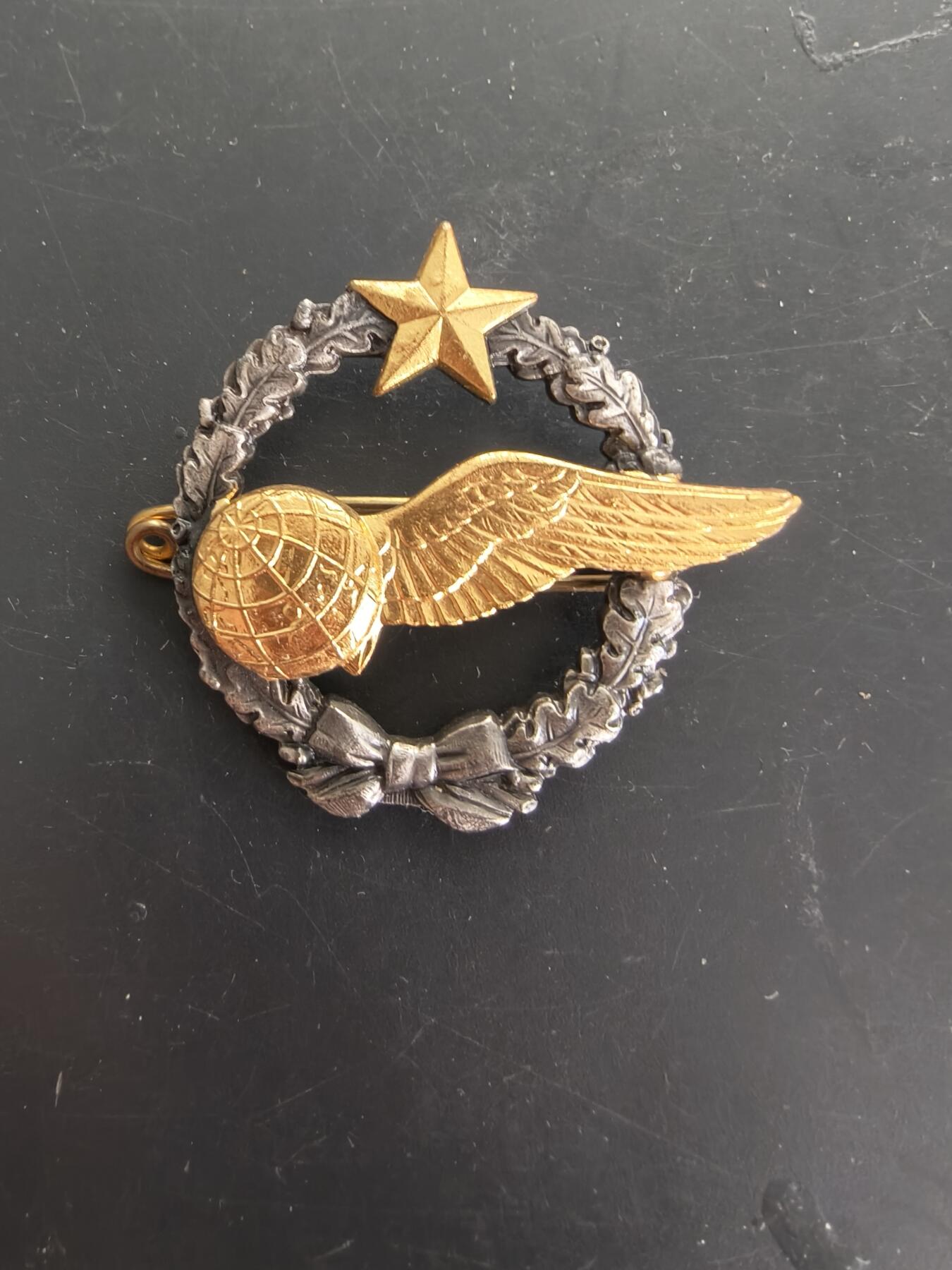 老王徽章第166期 法国空军学员导航员证章