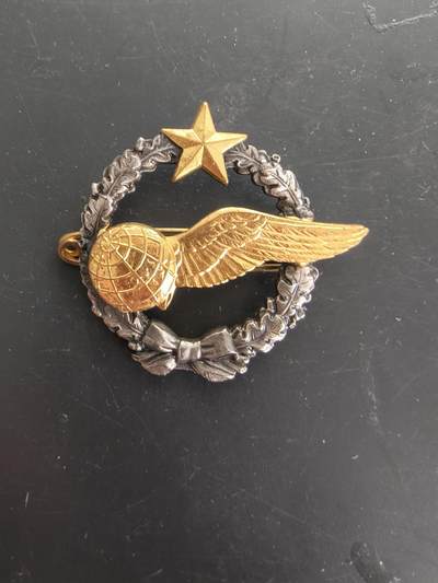 老王徽章第166期 - 法国空军学员导航员证章