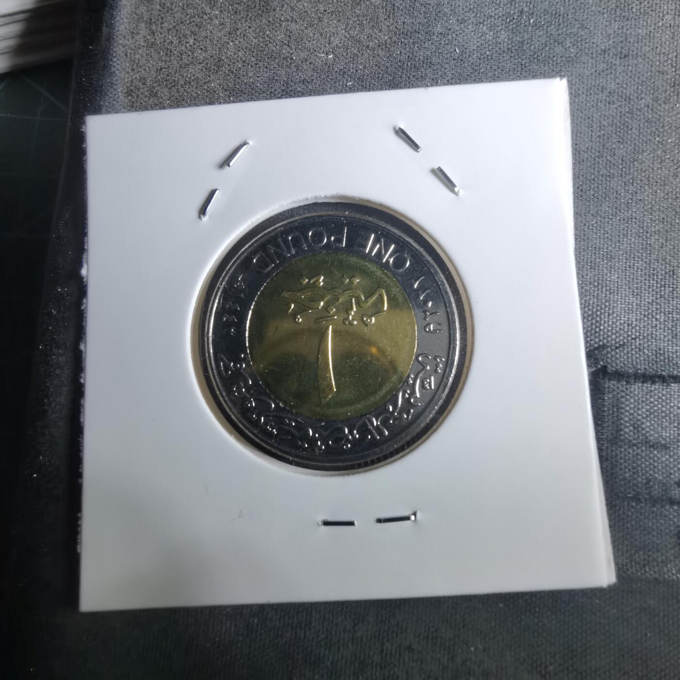 沼泽如烟--第916场 埃及