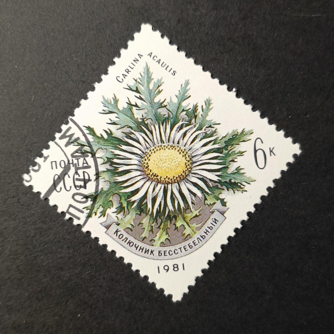 嘉禾收藏    【第390期】            无佣金、可寄存、满30元包邮 苏联邮票