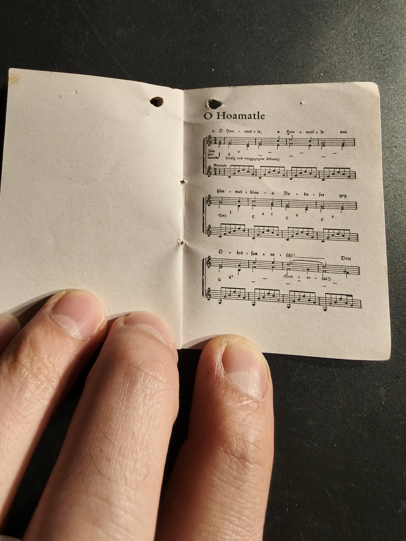 老王徽章第166期 德国民歌小册子