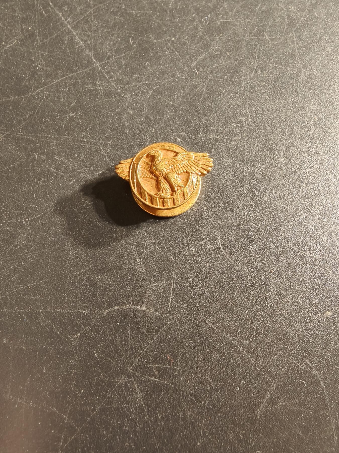 老王徽章第166期 美国退伍老兵协会徽章