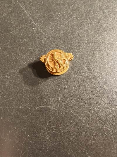 老王徽章第166期 - 美国退伍老兵协会徽章