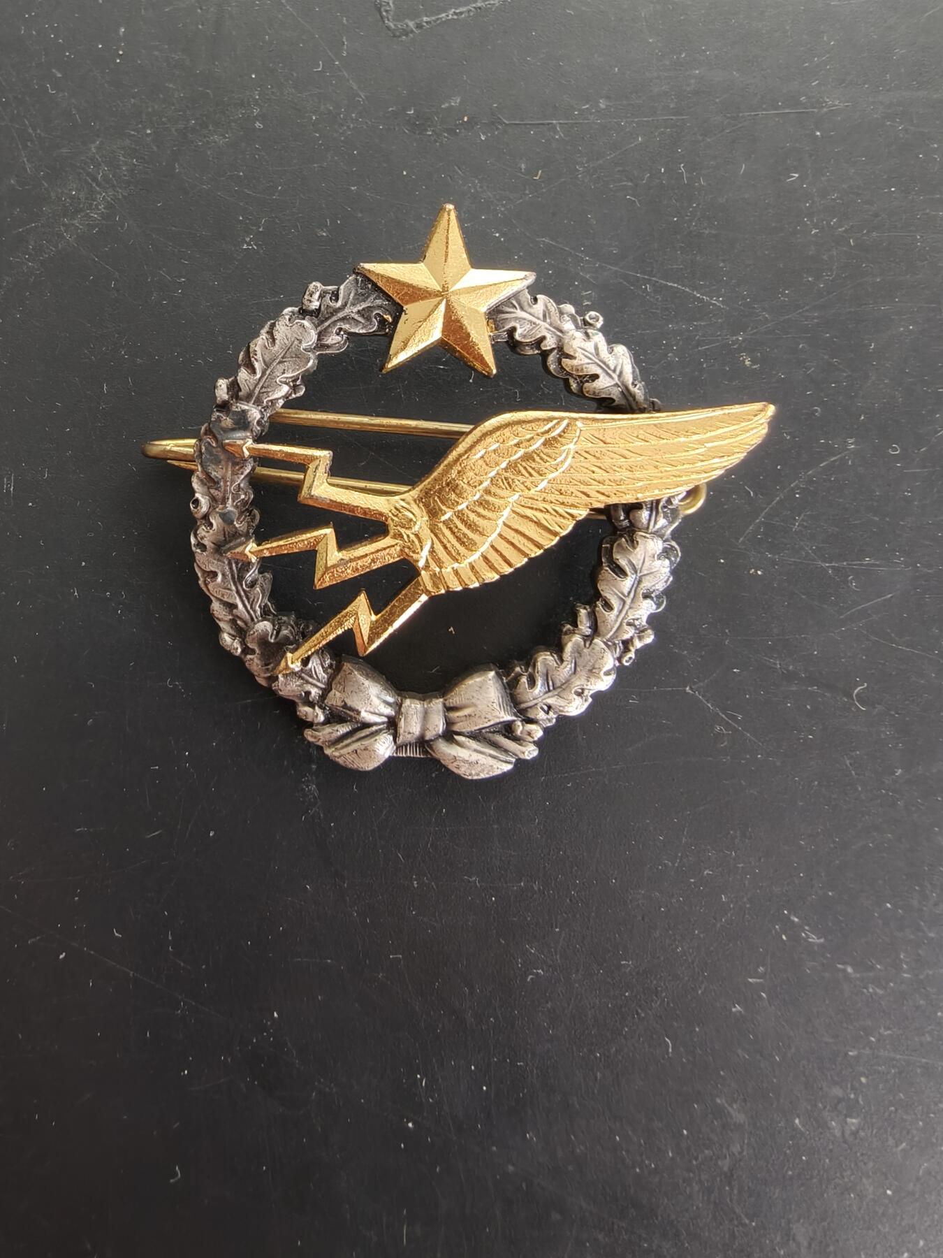 老王徽章第166期 法国空军学员无线电操作员证章