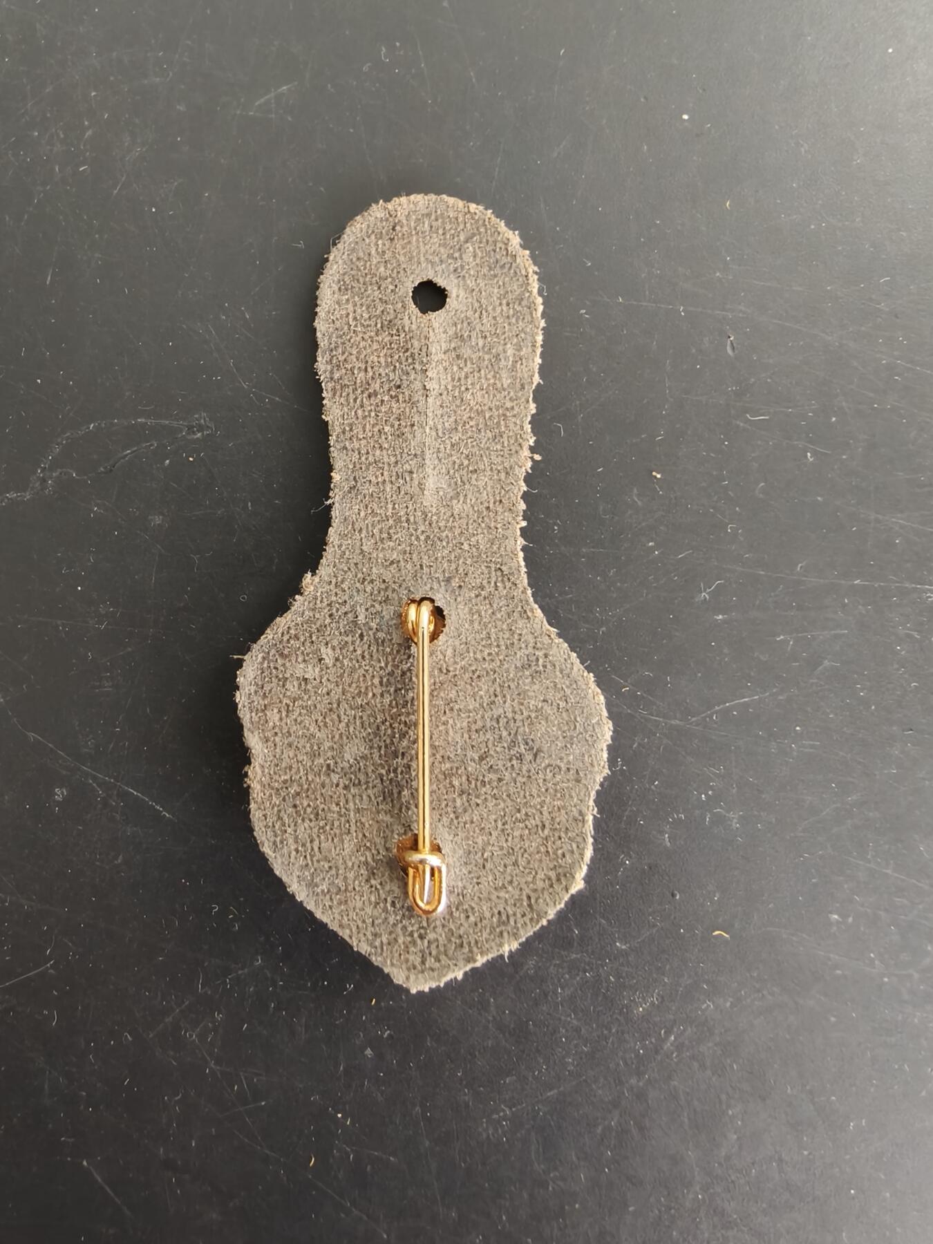 老王徽章第166期 法国乍得行军团证章