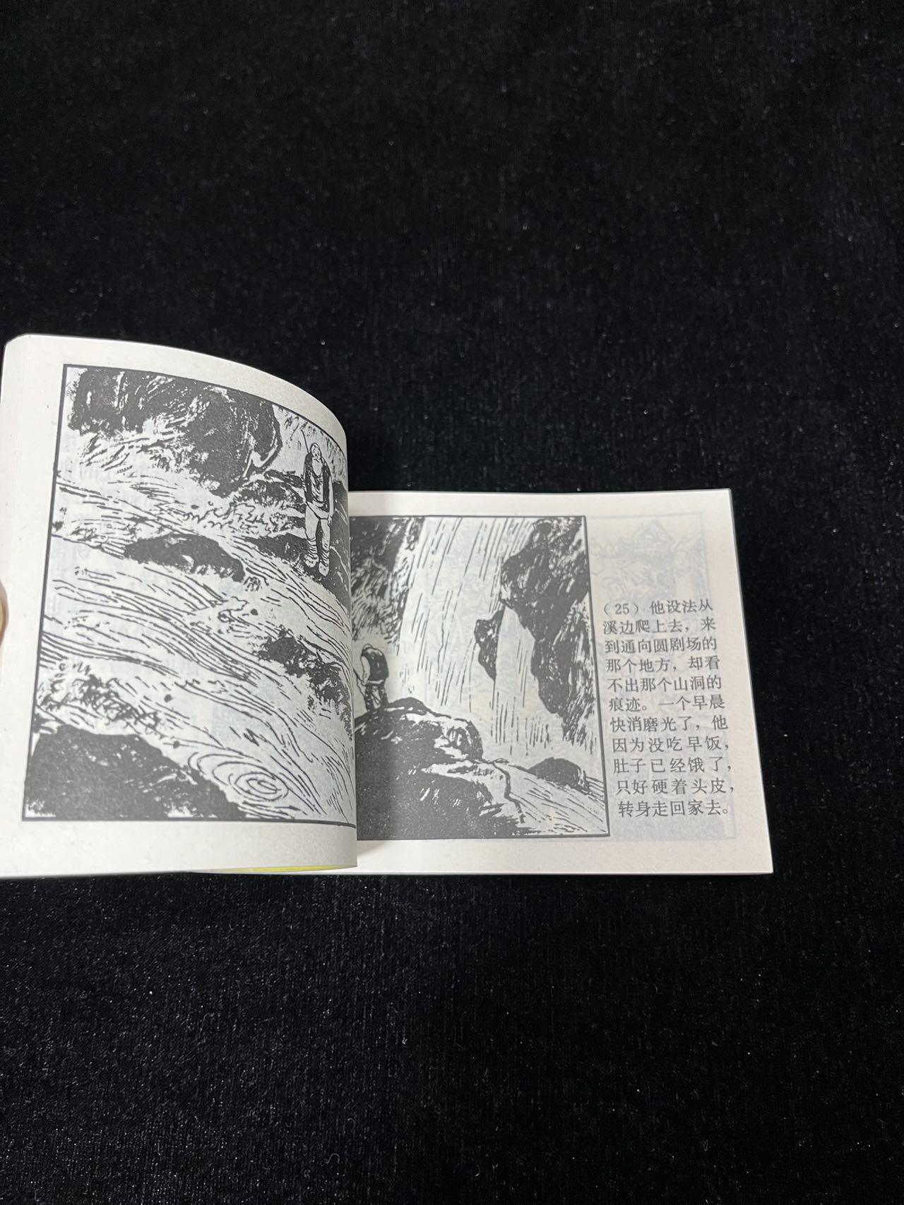 顺昌连环画拍卖（第三期） 瑞普的奇遇