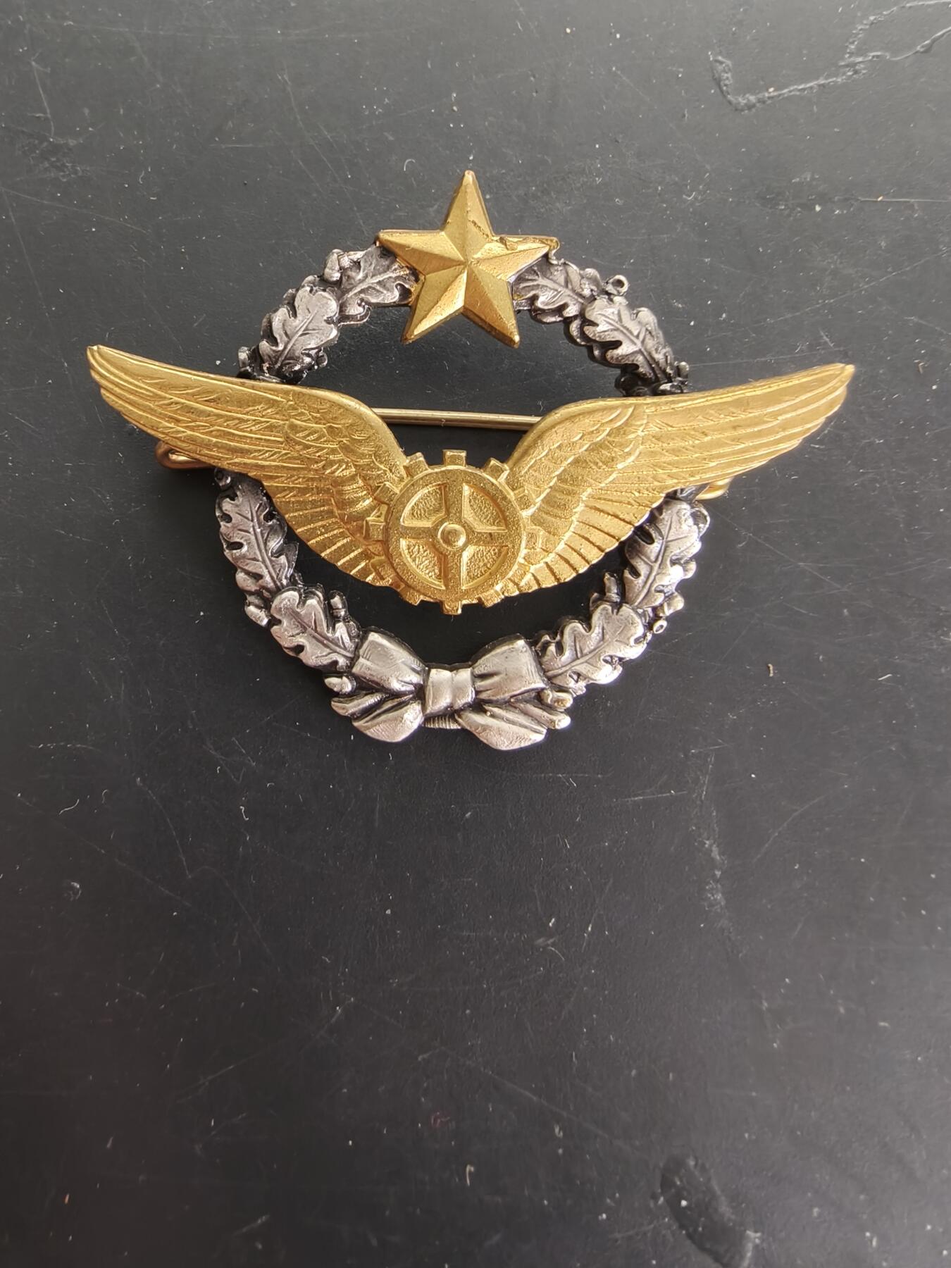 老王徽章第166期 法国空军机械师证章