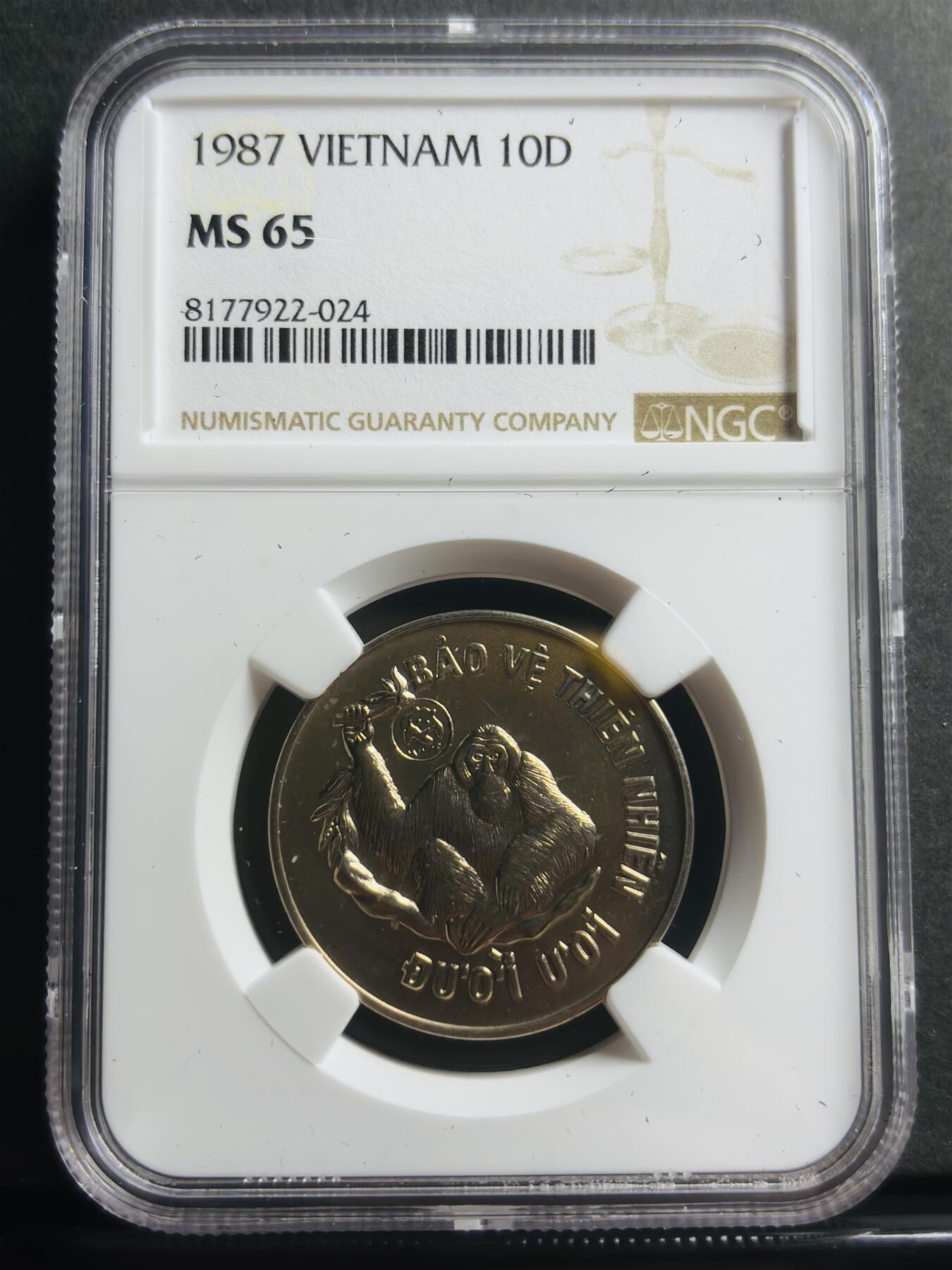 文馨钱币收藏第 283 场，【大雪鉴珍，寒英缀金】金银纪念币精品场，诚邀您的参与【长期接代拍品】 稀少 1987年越南红毛猩猩10盾纪念 世界自然基金会成立 25 周年 NGC 评级 MS65 分