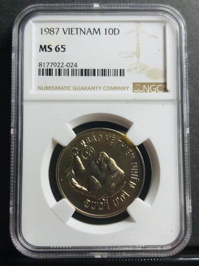 文馨钱币收藏第 283 场，【大雪鉴珍，寒英缀金】金银纪念币精品场，诚邀您的参与【长期接代拍品】 - 稀少 1987年越南红毛猩猩10盾纪念 世界自然基金会成立 25 周年 NGC 评级 MS65 分