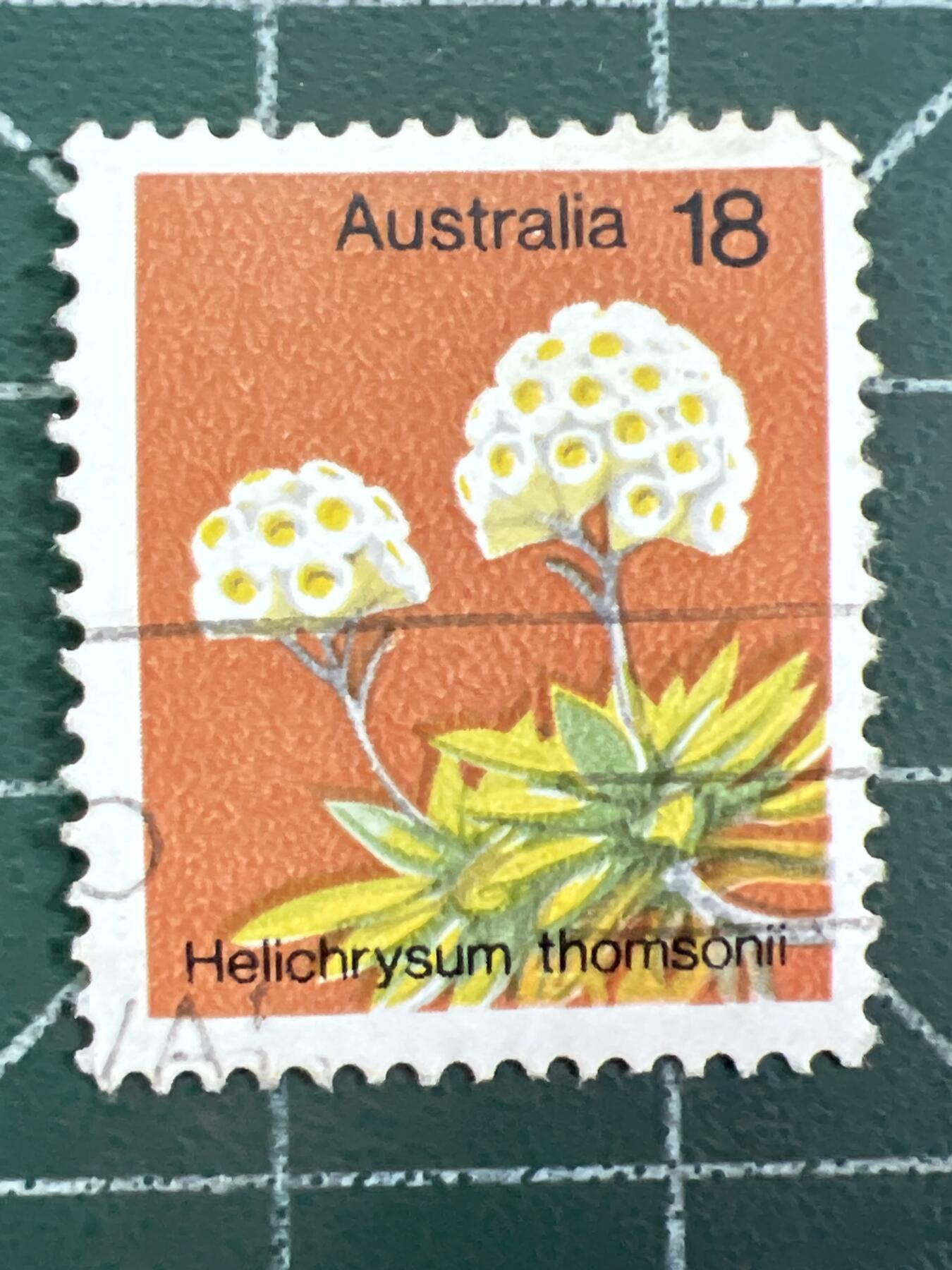 第1064 邮票专场 （无押金，捡漏，全场50包邮，偏远地区除外，接收代拍业务，本店十天发一次货）