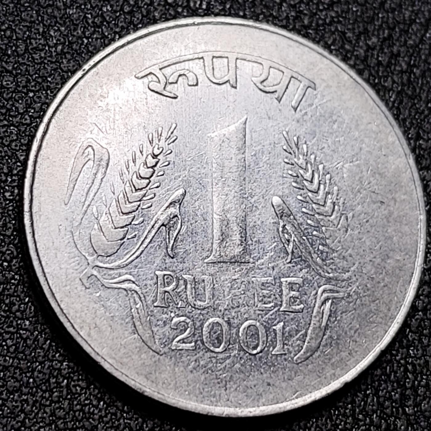 泉币菌-第141场-精品福利场（之前场次29日、30日发货，敬请谅解） 。