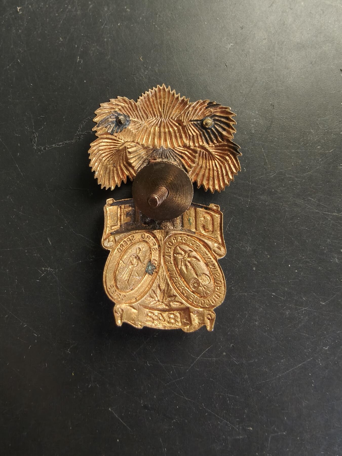 老王徽章第166期 美国南卡罗来纳军事学院大檐帽帽徽