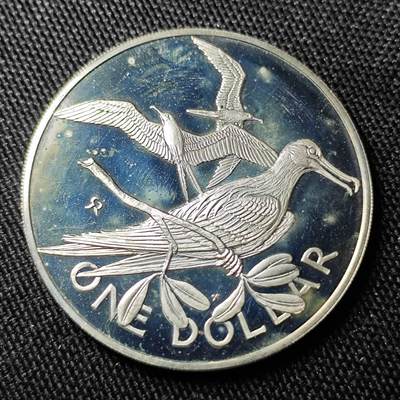 KK钱币收藏小铺 （套币 好品/批量散币 银币）专场  2月预留时间 周末发货 -  1973英属维尔京群岛1元银币 925高银